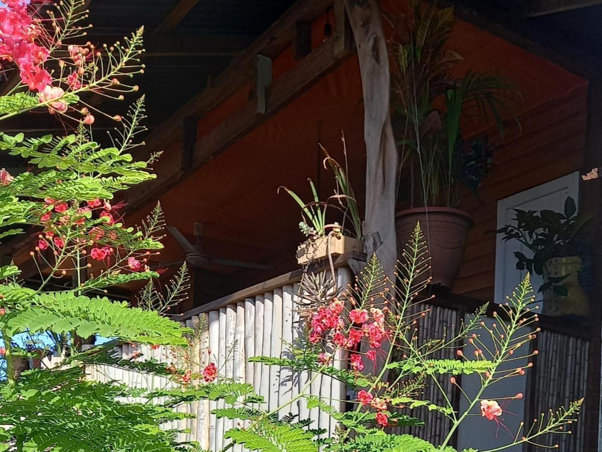 Apartamento Casa Lumiere Bocas del Toro Exterior foto